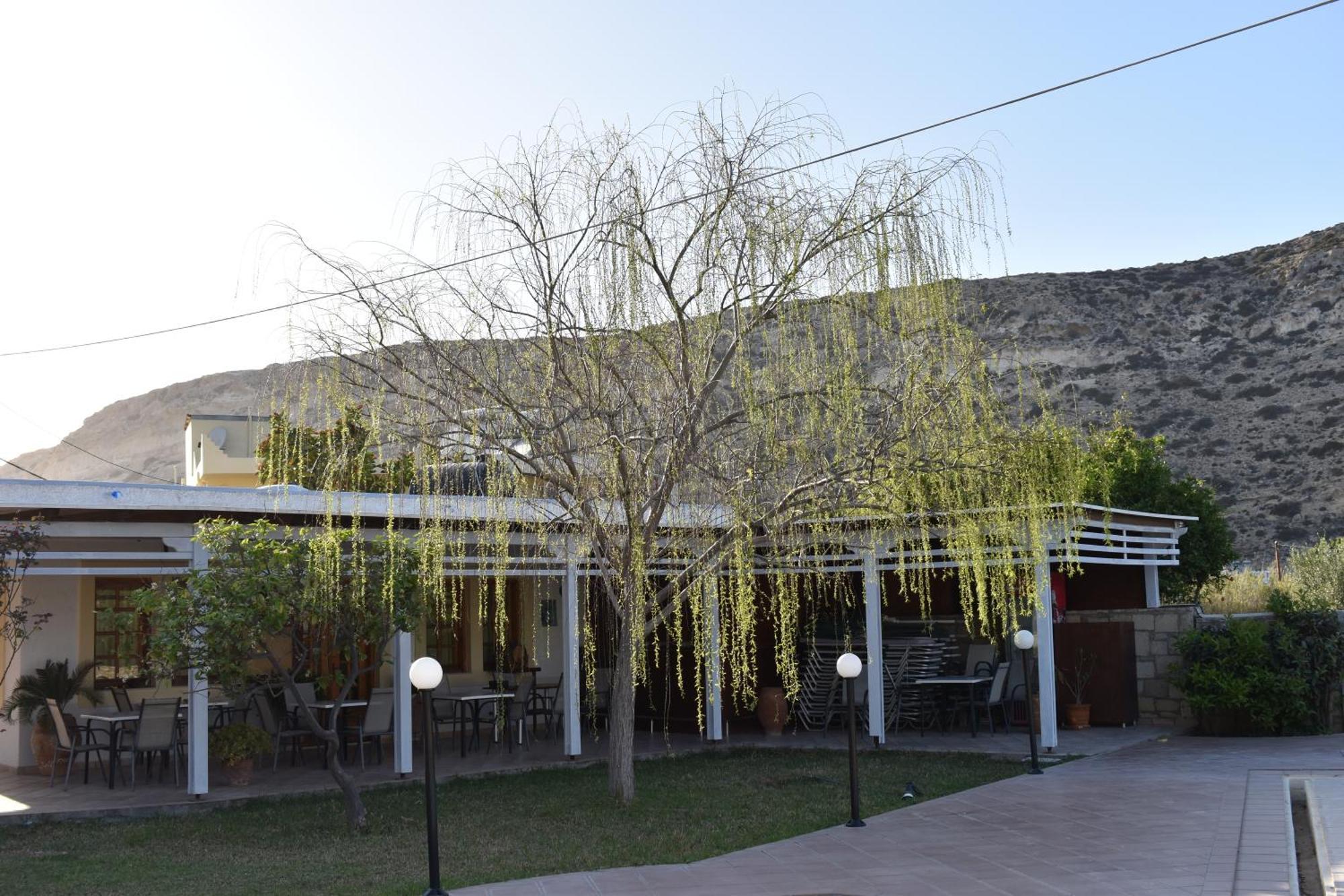 Dimitris Villa Hotel Matala Eksteriør billede