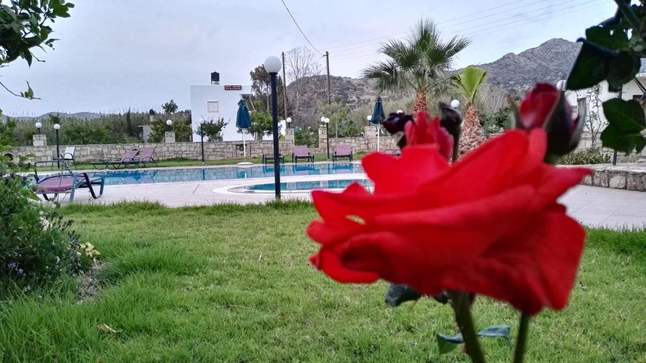 Dimitris Villa Hotel Matala Eksteriør billede