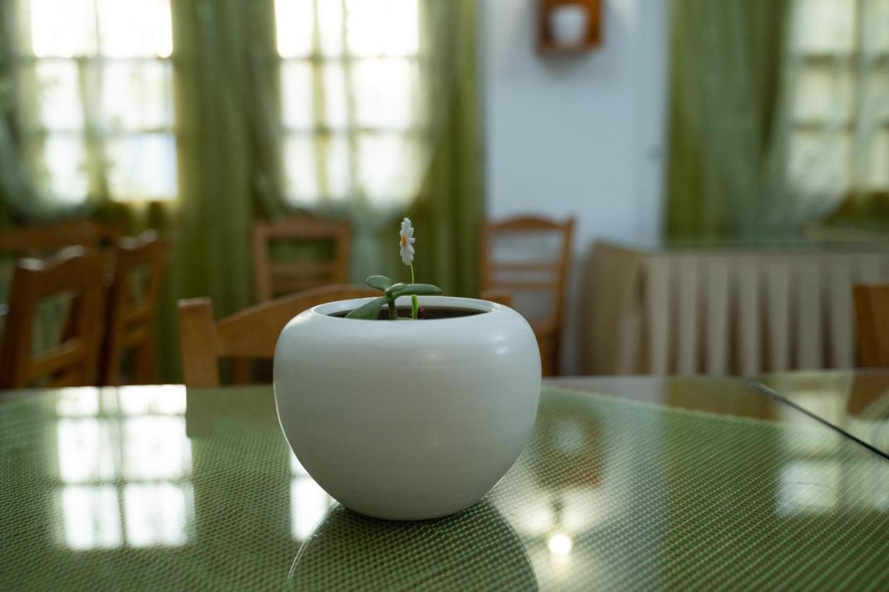 Dimitris Villa Hotel Matala Eksteriør billede
